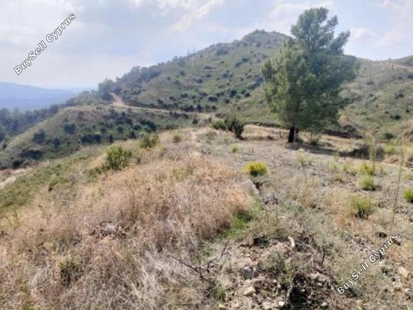 land for sale vavatsinia larnaca 1667456 image 4300095