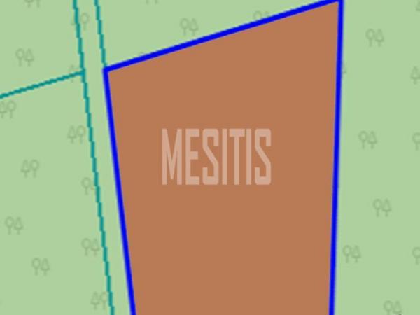 plot for sale kornos larnaca 1381456 image 10501880