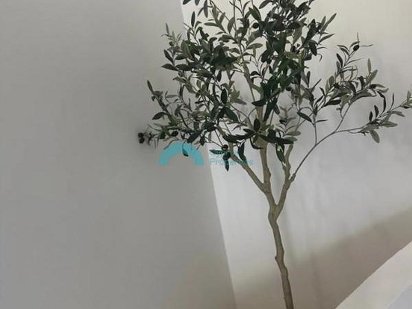 studio office for rent aradippou larnaca 8526456 image 15438309
