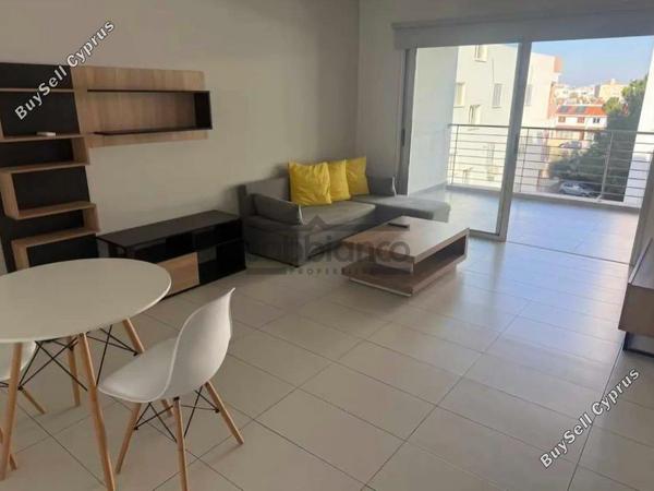 1 bedroom apartment for rent egkomi nicosia 8748556 image 16466154
