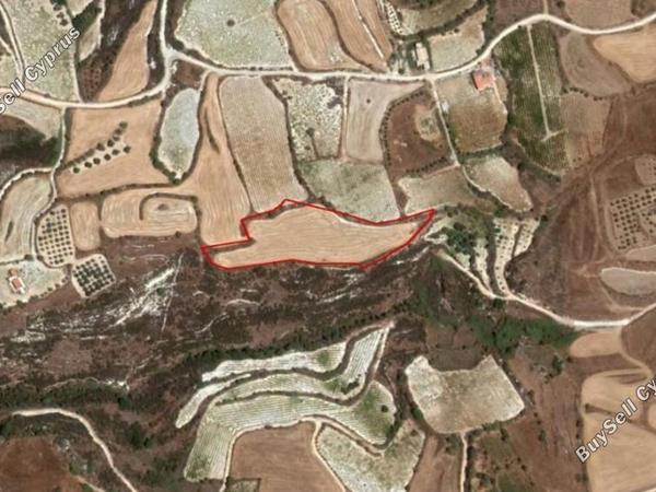land for sale kathikas paphos 8649556 image 16685754
