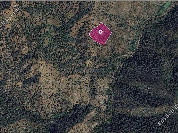 land for sale pigenia nicosia 1650556 image 5671790