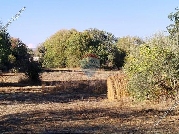 land for sale polemi paphos 7729556 image 15496869