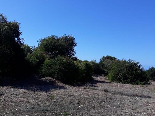 land for sale prastio paphos 1684556 image 4403817