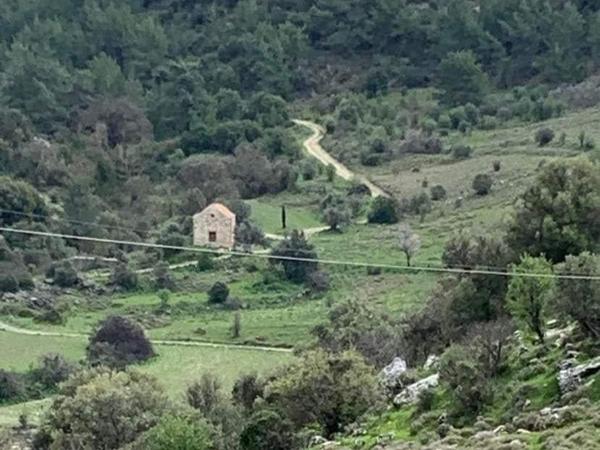 land for sale prastio paphos 1684556 image 4403818