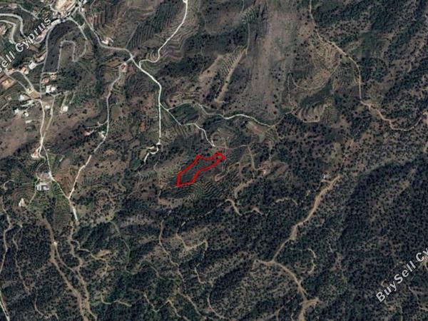 land for sale xyliatos nicosia 830556 image 2824735
