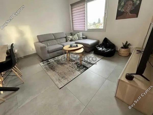 2 bedroom apartment for rent agios dometios nicosia 8749656 image 16477734