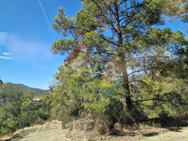 land for sale agios mamas limassol 1583656 image 9850787