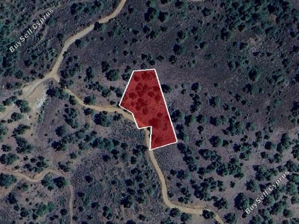 land for sale fterikoudi nicosia 8726656 image 16333149