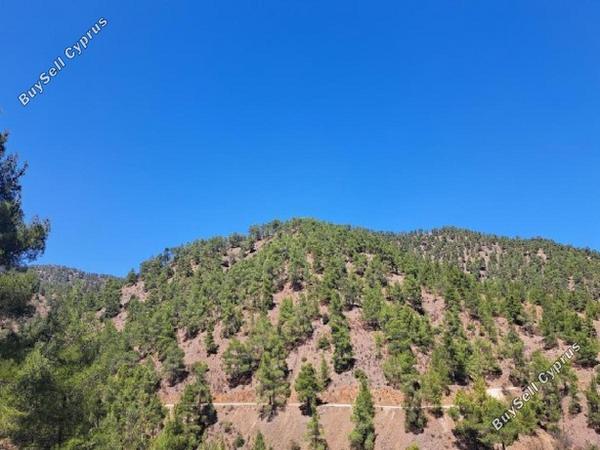 land for sale fterikoudi nicosia 8726656 image 16333151