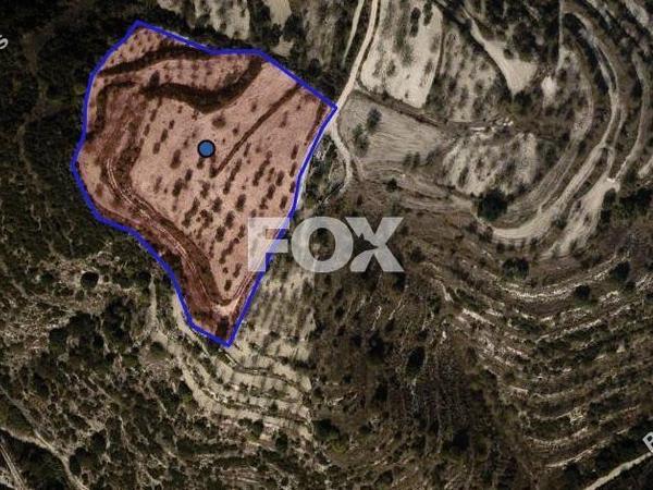 land for sale kallepeia paphos 1482656 image 5627083