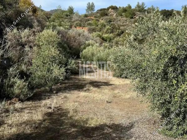 land for sale vavatsinia larnaca 7931656 image 11270651