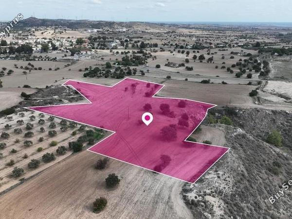 land for sale anglisides larnaca 7736756 image 10183049