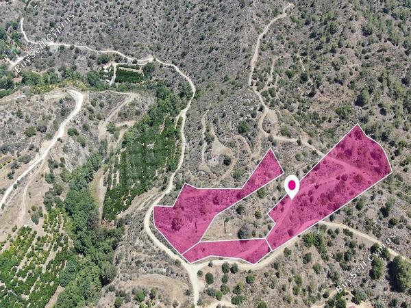 land for sale dierona limassol 7872756 image 11386782