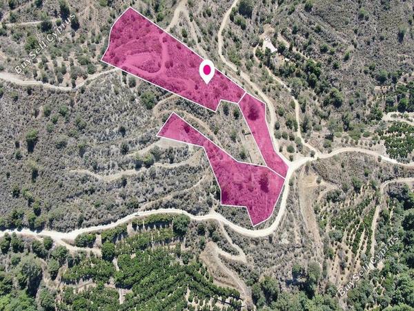 land for sale dierona limassol 7872756 image 11386783