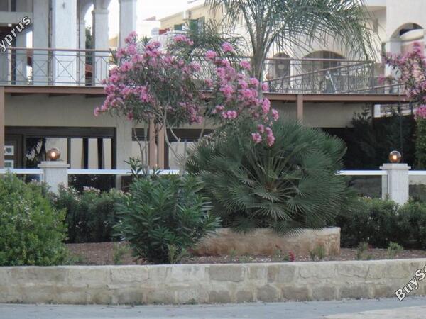 studio healthcare facility for sale potamos germasogeias limassol 627756 image 320217