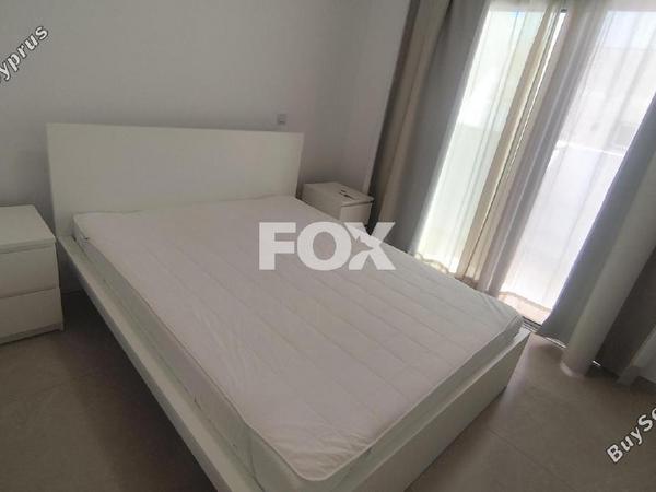 1 bedroom apartment for rent petrou kai pavlou limassol 8704856 image 16333170