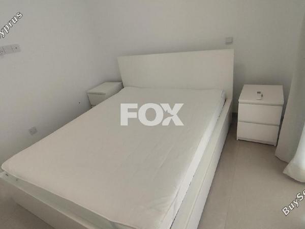 1 bedroom apartment for rent petrou kai pavlou limassol 8704856 image 16578993