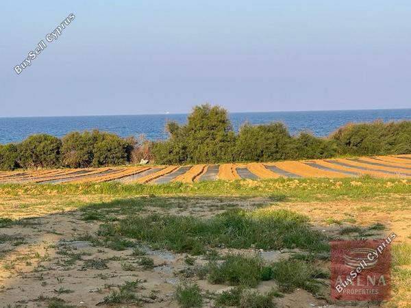 4 bedroom detached house for sale agia triada famagusta 1268856 image 13155406