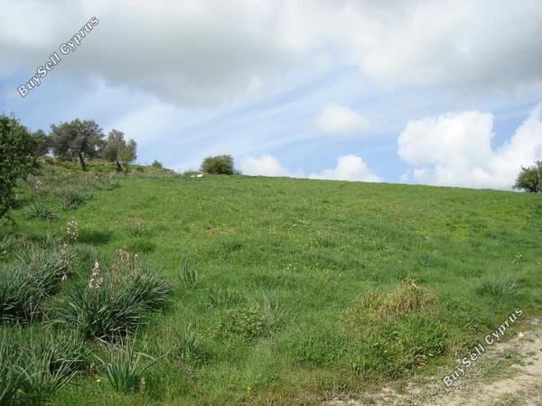 land for sale agios dimitrianos paphos 232856 image 283405