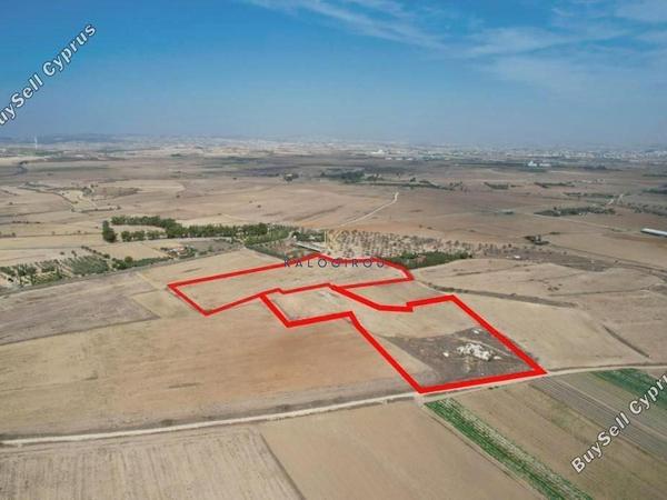 land for sale tersefanou larnaca 1328856 image 5632994
