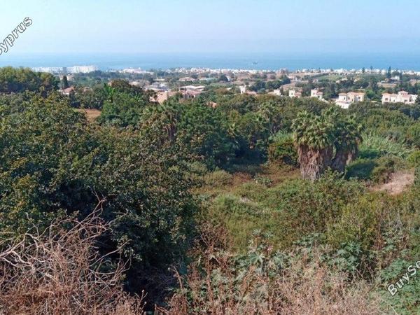 plot for sale chlorakas paphos 1803856 image 13851574