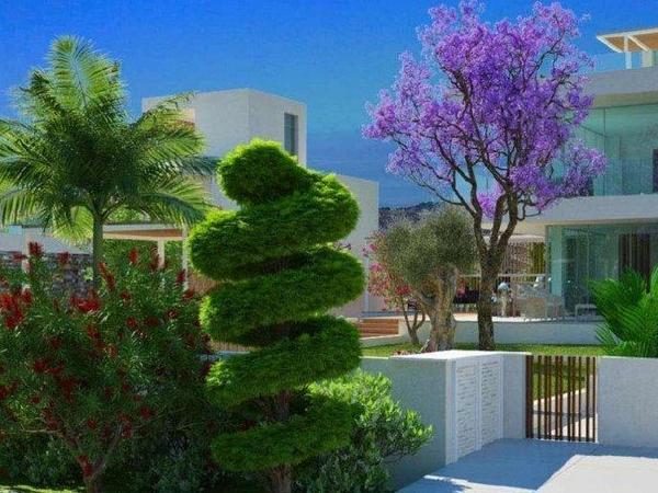 4 bedroom detached house for sale secret valley paphos 1677956 image 9928692