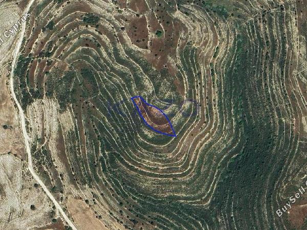 land for sale lofou limassol 8381956 image 15880845