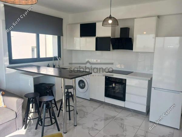 1 bedroom apartment for sale oroklini larnaca 8738066 image 16358960