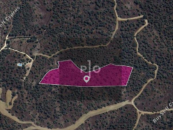 land for sale evrychou nicosia 8275066 image 15157190