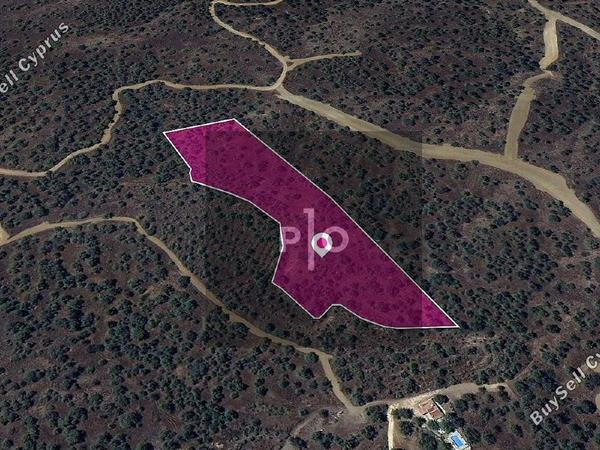 land for sale evrychou nicosia 8275066 image 15157195