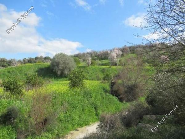 land for sale mamonia paphos 952066 image 16512199