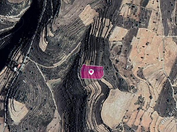 land for sale pachna limassol 1650066 image 10092908