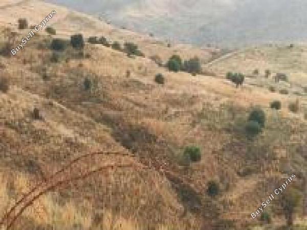 land for sale salamiou paphos 7806066 image 15596550
