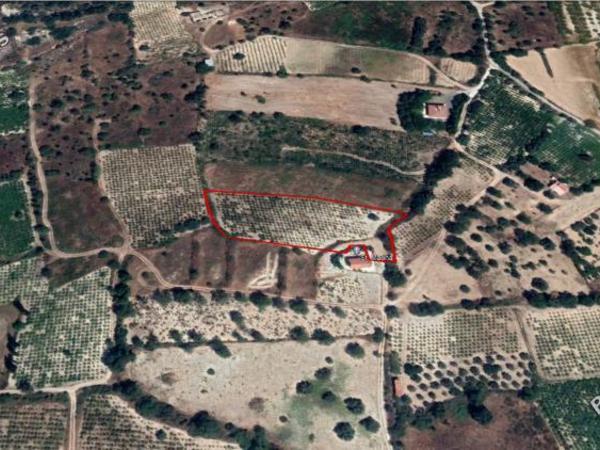 plot for sale laneia limassol 7658066 image 12598486