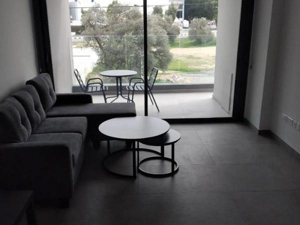 1 bedroom apartment for rent parissinos nicosia 8500166 image 16336833