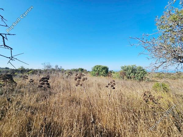 land for sale kathikas paphos 7502166 image 9350340