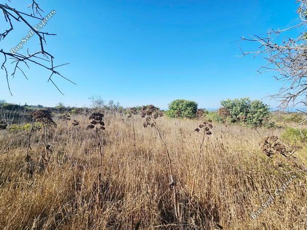 land for sale kathikas paphos 7502166 image 9350342