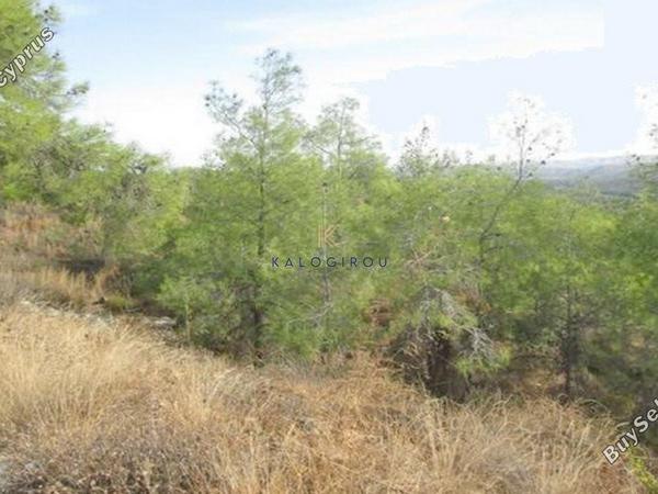 land for sale kornos larnaca 1697166 image 9467691