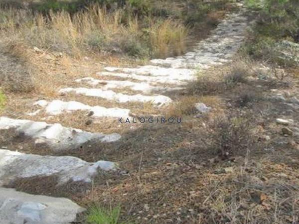land for sale kornos larnaca 1697166 image 9467695