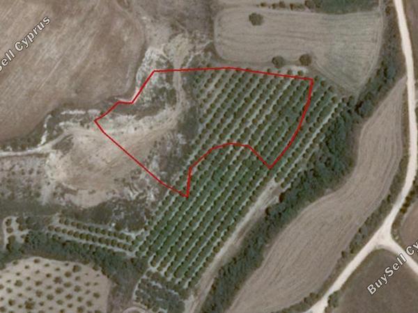 land for sale poli chrysochous paphos 828166 image 15178335