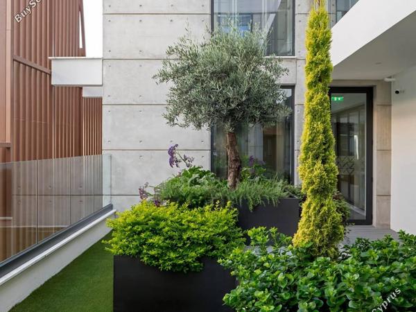 studio building for sale katholiki limassol 1811166 image 6240185