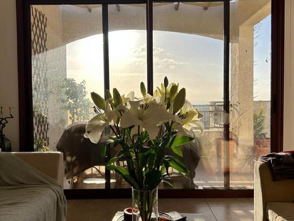 2 bedroom penthouse for rent pissouri limassol 8413266 image 15525632