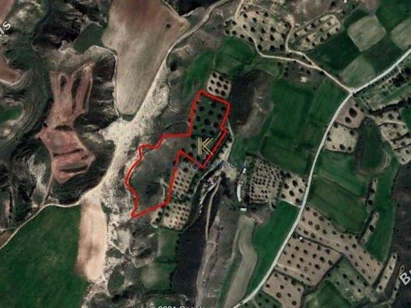 plot for sale tseri nicosia 1195266 image 5576869