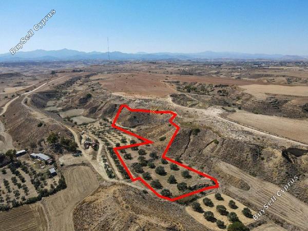 plot for sale tseri nicosia 1195266 image 5576873