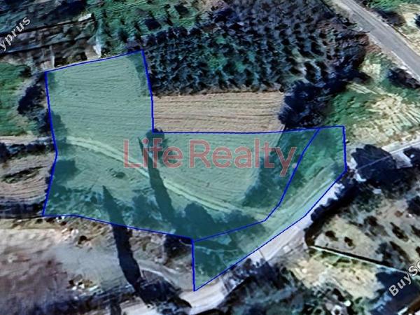 land for sale paramytha limassol 1873366 image 6947906