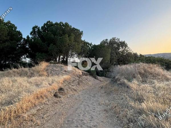 land for sale pissouri limassol 1393366 image 6383428