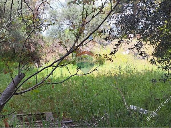 land for sale trimiklini limassol 1503366 image 14146669