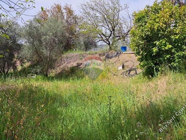 land for sale trimiklini limassol 1503366 image 14146670