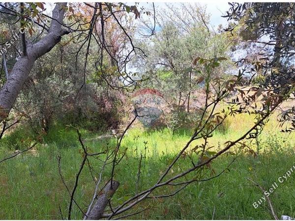 land for sale trimiklini limassol 1503366 image 14146671